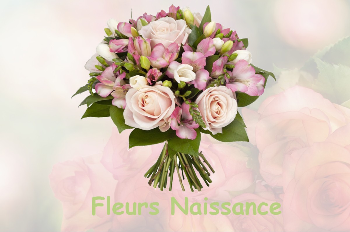 fleurs naissance SEPTMONCEL