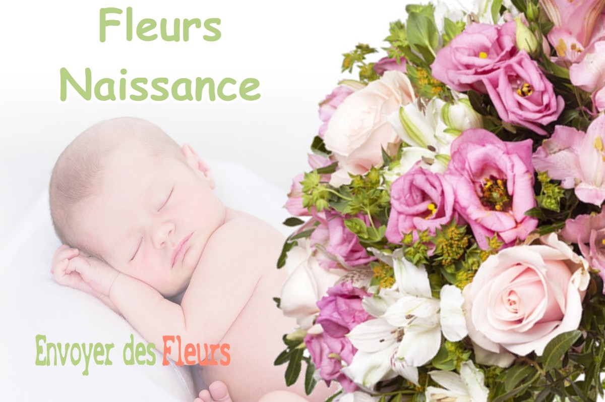 lIVRAISON FLEURS NAISSANCE à SEPTMONCEL